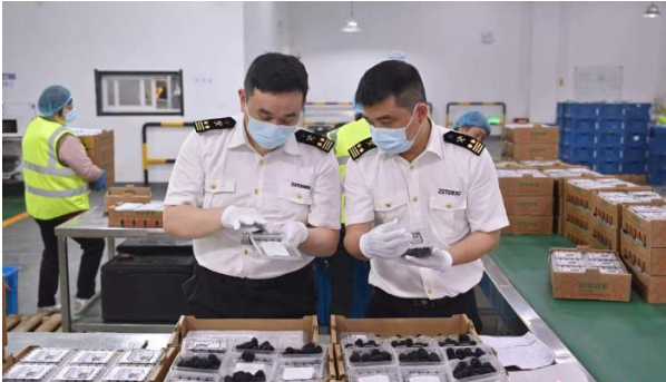 今年前4个月上海干鲜瓜果及坚果出口货值同比增逾九成